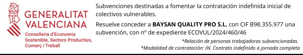 ECOVUL202446046 - Alquiler y renting de vehículos | Baysan Quality