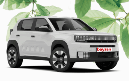 Renting Fiat <span class="color-primario">Grande Panda</span>