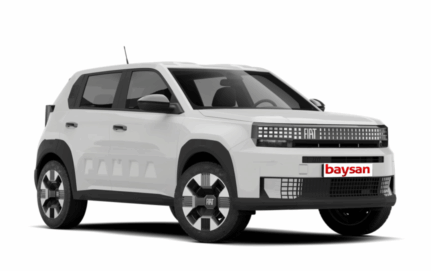 Renting Fiat <span class="color-primario">Grande Panda</span>