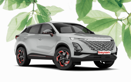 Renting Omoda <span class="color-primario">5</span>